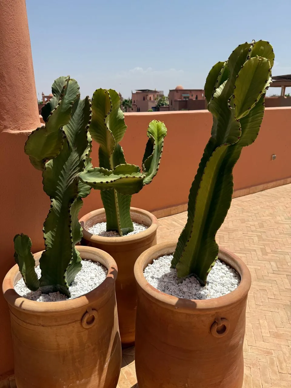 Villa Achat Palmeraie immobilier Marrakech