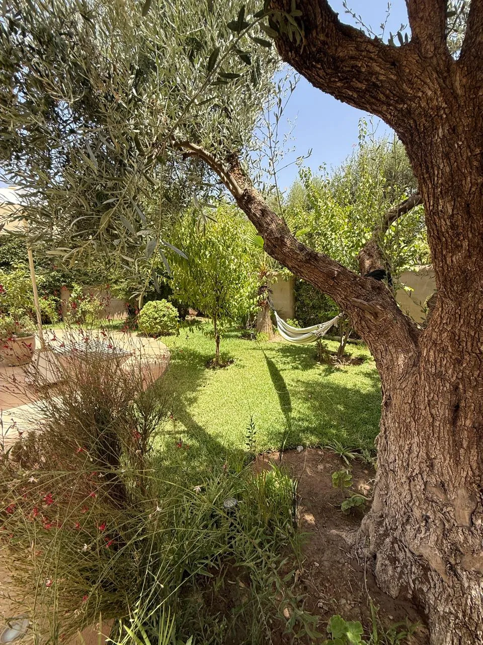 Villa Achat Palmeraie immobilier Marrakech